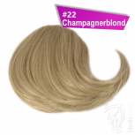 Pony Haarteil Clip In 25-30g Seitliche Form #22 Champagnerblond + 2 Tressenclips
